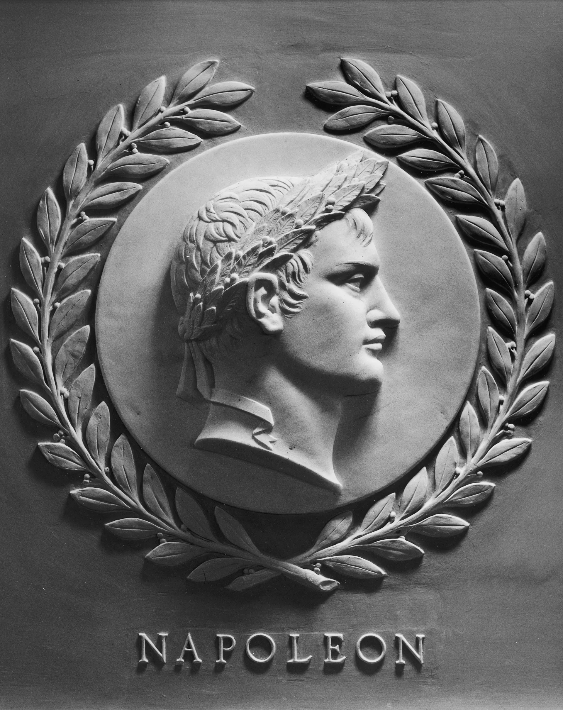 Relief portrait of Napoleon I